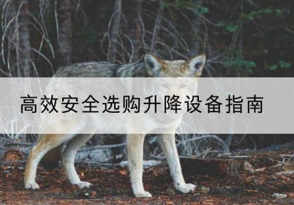 屯留升降货梯厂家推荐-*安全选购升降设备指南