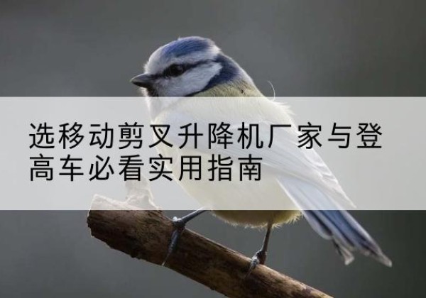 屯留电动升降机厂家-选移动剪叉升降机厂家与登高车必看实用指南